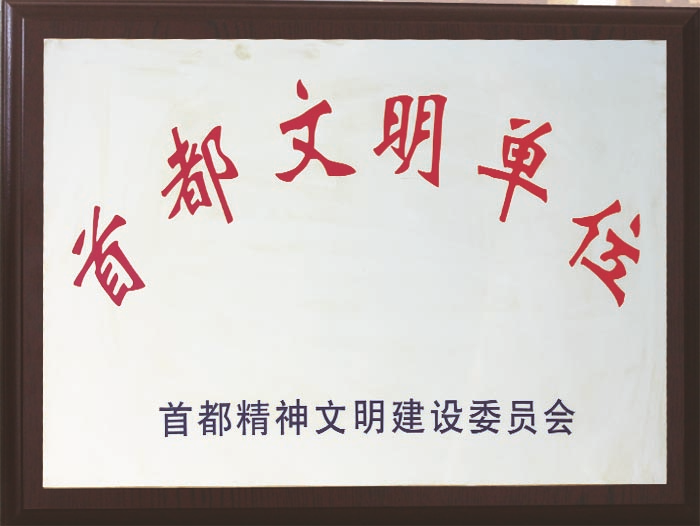 北京保安公司榮譽資質